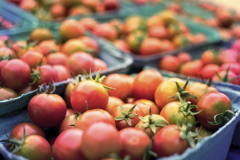 Fresh Ingredients